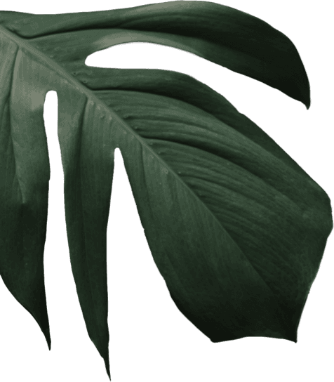 Image for decoration